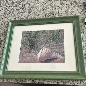 Green framed shell picture on the beach